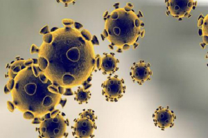 外媒称新冠病毒为实验室泄露的“生化武器” 中方回应