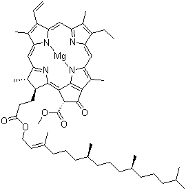 叶绿素 a