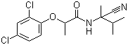 结构式