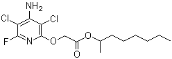 结构式